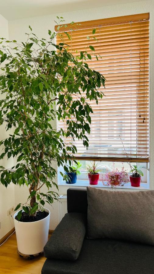 Grosses Und Helles Innenstadt Apartment - Ferienwohnung Bad Homburg vor der Höhe Zewnętrze zdjęcie